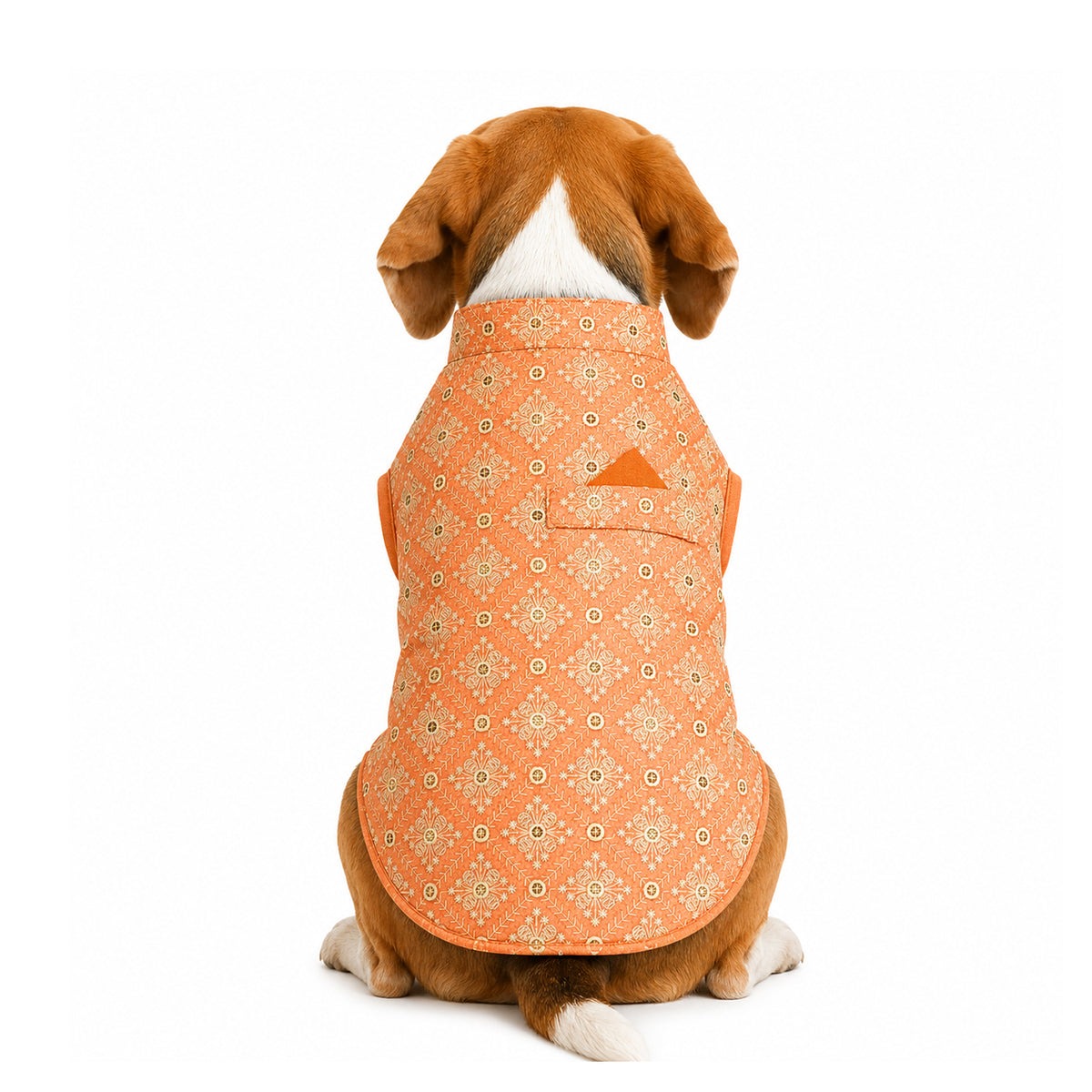 Nootie Dog Kurta - Peach Brocade | Traditional Ethnic Outfit for Weddings, Festivals and Celebrations