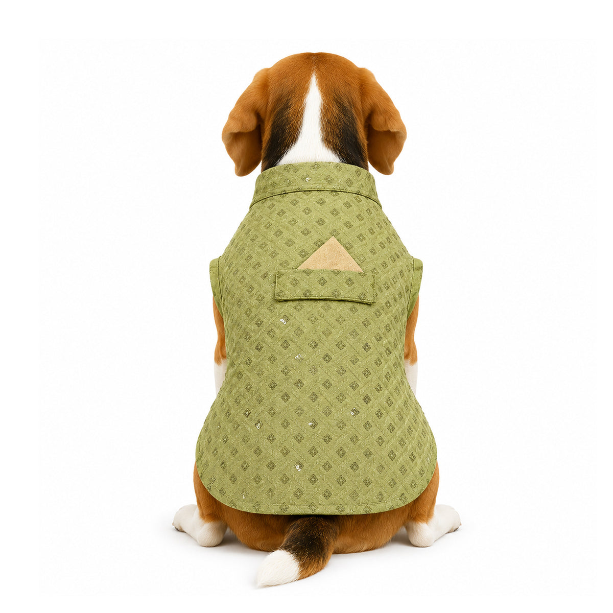 Nootie Dog Kurta - Lime Brocade | Traditional Ethnic Outfit for Weddings, Festivals and Celebrations