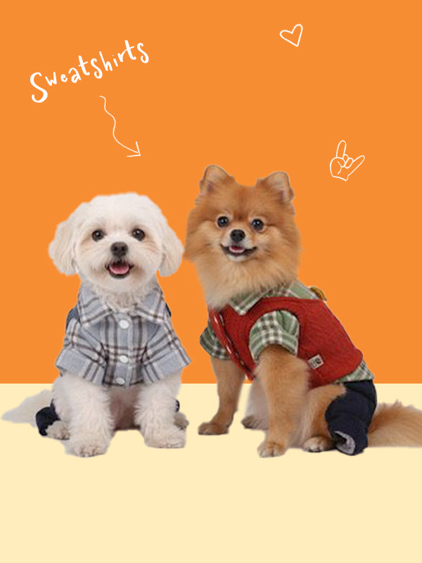 Sweatshirts