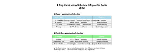 Dog Vaccination Guide 2025: Schedule, Importance & Tips for Pet Parents - nootie.in