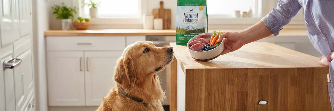 How to Choose Healthy Food for your Pet Dog