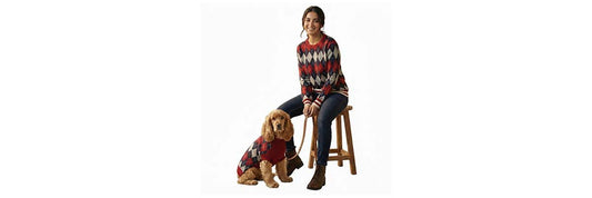 Winter Dog Fashion: Stylish & Cozy Outfit Ideas to Dress Your Dog This Season - nootie.in