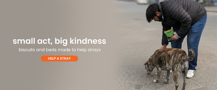 The Kindness Collection - nootie.in