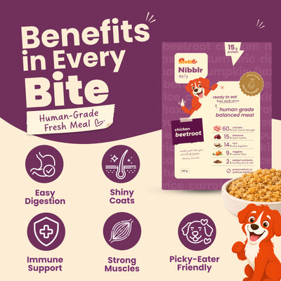 Nibblr Daily Power Feast for Dogs (300g) | Chicken Liver, Beatroot and Rice