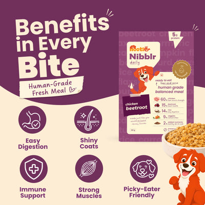 Nibblr Balance Bowl for Dogs (100g) | Chicken Liver, Beatroot and Rice