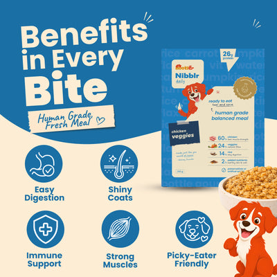 Nibblr Daily Power Feast for Dogs (300g) | Chicken Veggie & Rice