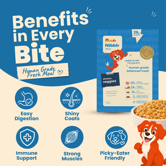 Nibblr Chicken Veggie & Rice (300g) - Fresh Wholesome Dog Meal