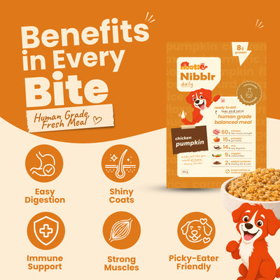 Nibblr Balance Bowl for Dogs (100g) | Chicken Liver and Pumpkin