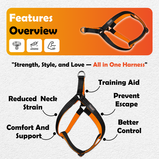 Nootie Premium Plush Padded Harness Black Color with Orange Detailing