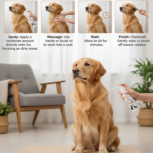 Nootie Pet Waterless Spray Shampoo for Dogs & Cats (150 ml) | No-Rinse, Shea Butter & Tea Tree Oil Cleanser for Soft, Fresh Coats