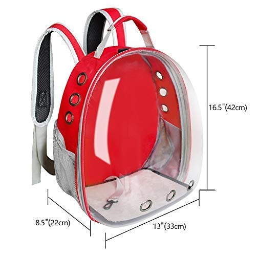 Nootie Transparent Pet Travel Bag for Cats & Dogs | Breathable PVC Backpack Carrier with Ventilation | Ideal for Small Pets up to 6.5 kg