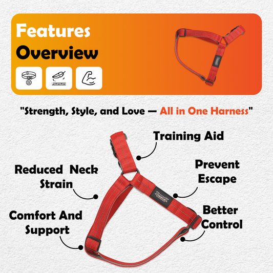 Nootie Premium Plush Padded Harness Red Color