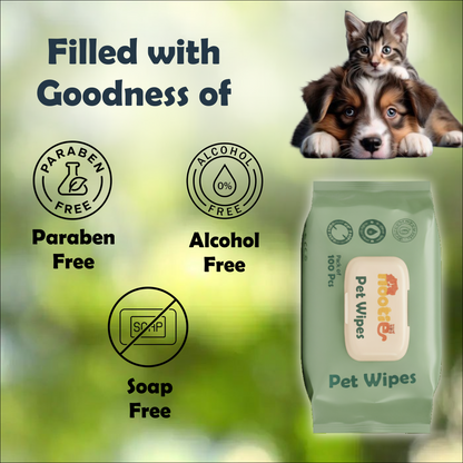 Nootie Wet Pet Wipes (100 Pulls) – Gentle Cleaning Wipes for Dogs & Cats | Alcohol-Free, Paraben-Free & Soap-Free