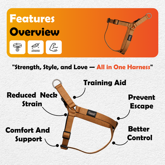 Nootie Premium Plush Padded Harness Brown Color with Black Detailing