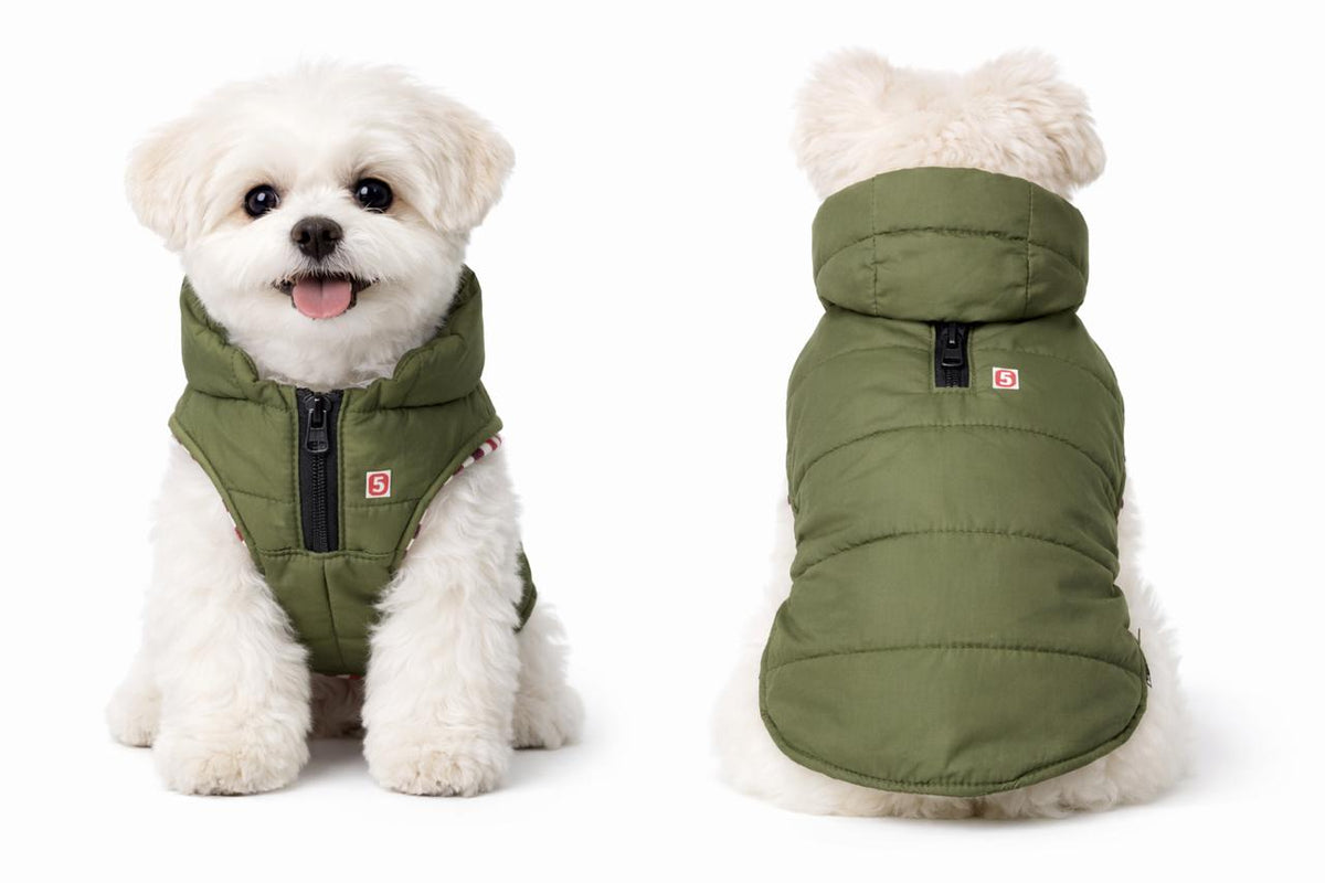 Nootie Dog Hoody Jacket -Stylish Winter Wear for All Breeds