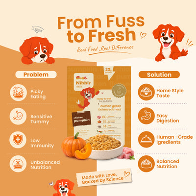 Nibblr Daily Power Feast for Dogs (300g) | Chicken Liver and Pumpkin