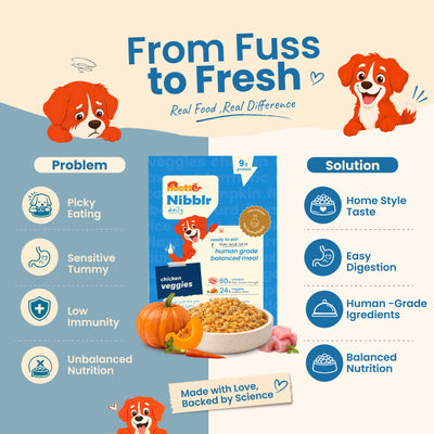 Nibblr Balance Bowl for Dogs (100g) | Chicken Veggie & Rice