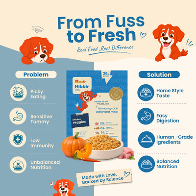 Nibblr Daily Power Feast for Dogs (300g) | Chicken Veggie & Rice