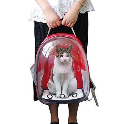 Nootie Transparent Pet Travel Bag for Cats & Dogs | Breathable PVC Backpack Carrier with Ventilation | Ideal for Small Pets up to 6.5 kg