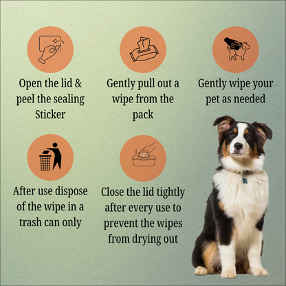 Nootie Wet Pet Wipes (100 Pulls) – Gentle Cleaning Wipes for Dogs & Cats | Alcohol-Free, Paraben-Free & Soap-Free