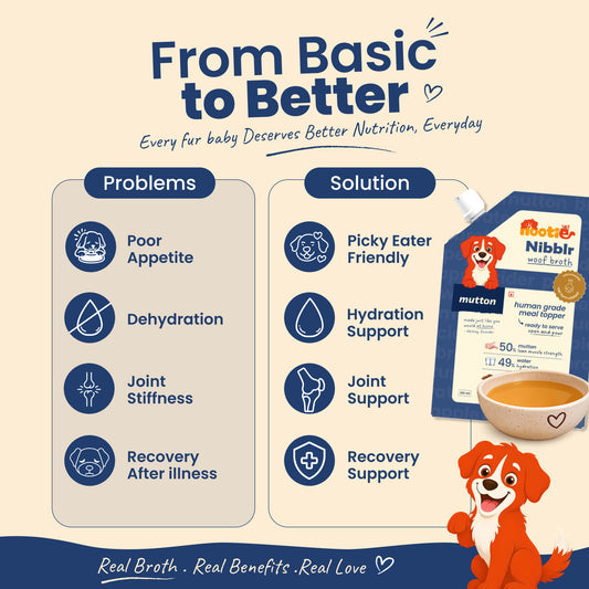 Nibblr Mutton Bone Broth  (100ml)- Hydrating Meal Topper for Dog