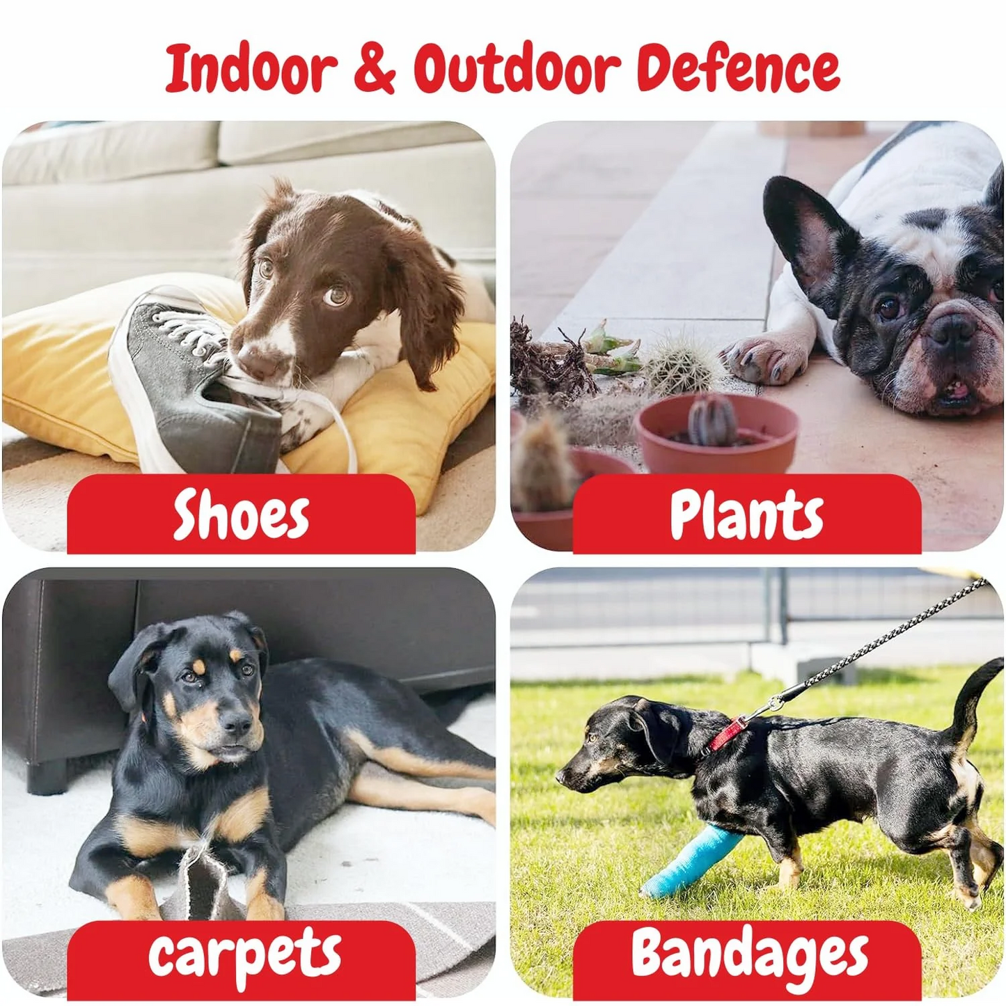 Nootie Anti-Chew Spray with Natural Ingredients (250 ml) | Prevents Biting & Furniture Damage – Safe for Pets