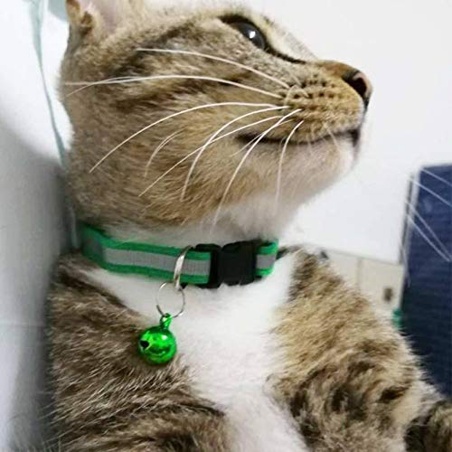 Nootie Reflective Cat Collar Pack of 2 | Adjustable Safety Collar with Bell, High-Visibility Reflective Strip for Kittens & Cats (20–30 cm)