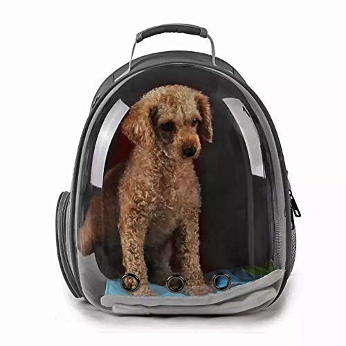 Nootie Transparent Pet Travel Bag for Cats & Dogs | Breathable PVC Backpack Carrier with Ventilation | Ideal for Small Pets up to 6.5 kg