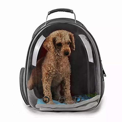 Nootie Transparent Pet Travel Bag for Cats & Dogs | Breathable PVC Backpack Carrier with Ventilation | Ideal for Small Pets up to 6.5 kg