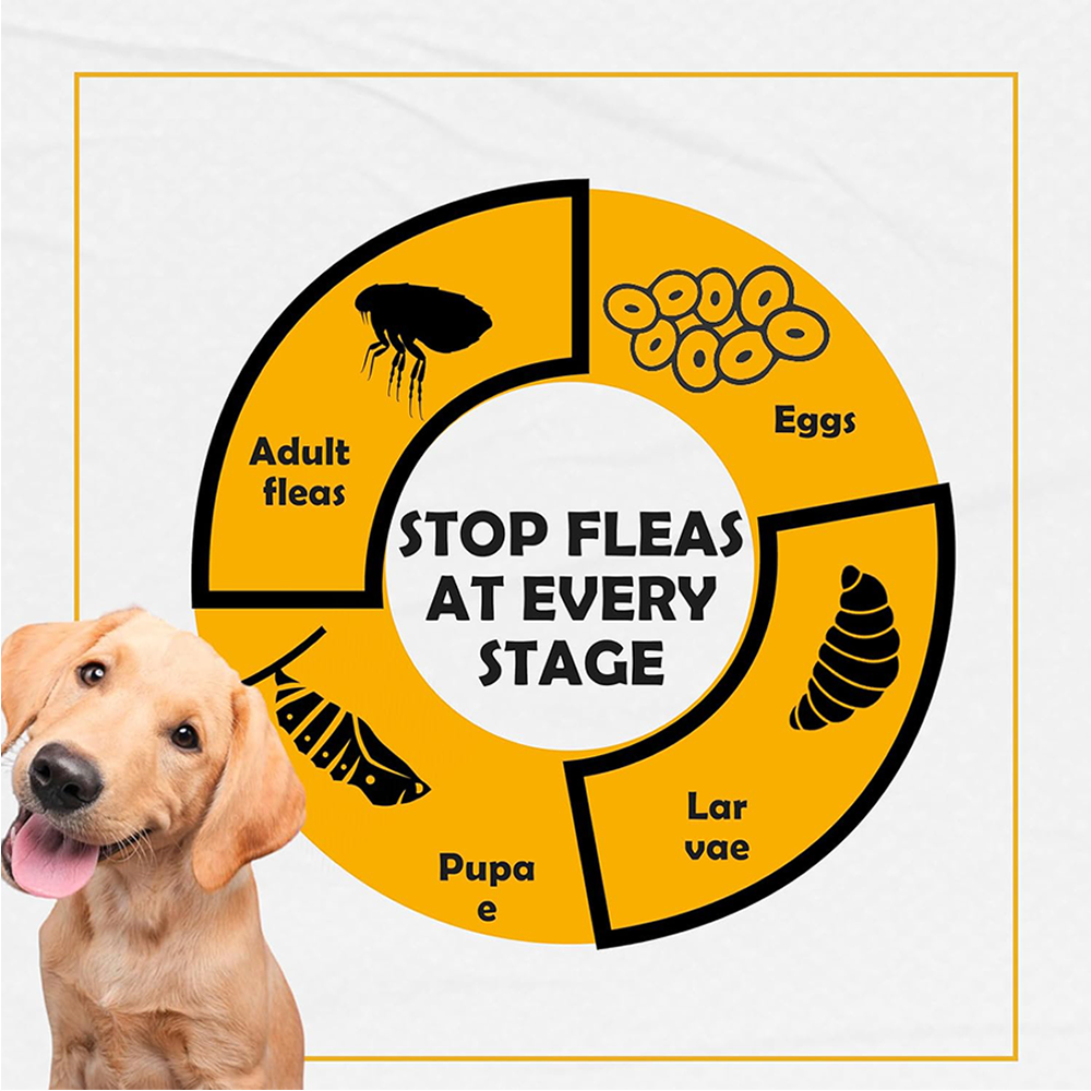 Nootie Tick & Flea Spray with Neem & Aloe Vera (250 ml) | Fast-Acting, Soothing, Daily Protection