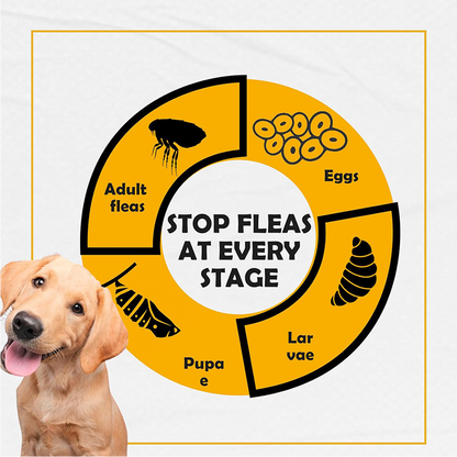 Nootie Tick & Flea Spray with Neem & Aloe Vera (250 ml) | Fast-Acting, Soothing, Daily Protection