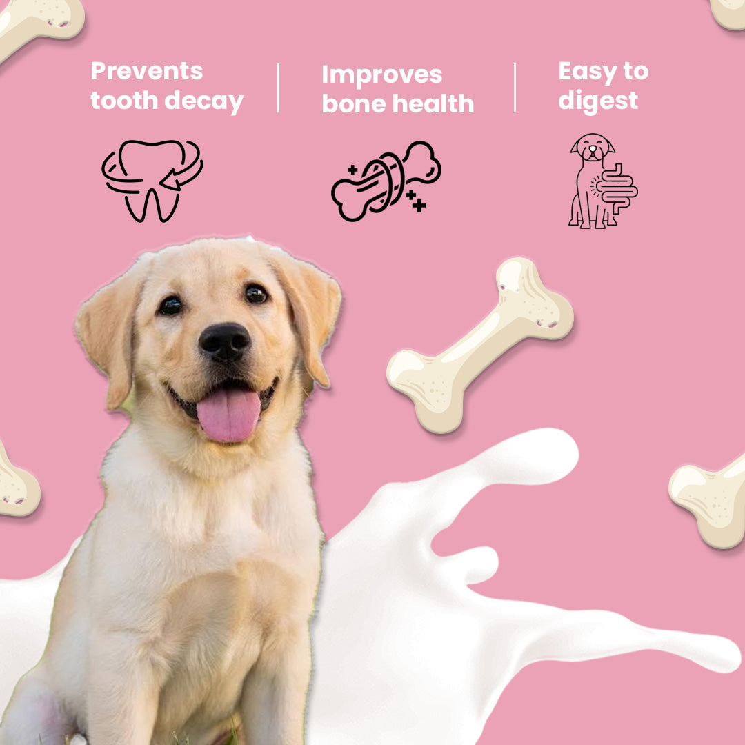 Nootie Nom Nom Calcium Milk Bone – Strawberry Flavour (220g) | Calcium-Rich, Fiber & Collagen Treat for Strong Bones & Teeth