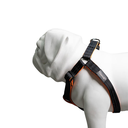 Nootie Premium Plush Padded Harness Black Color Size 15 mm (S) - For Small Dogs and Puppies