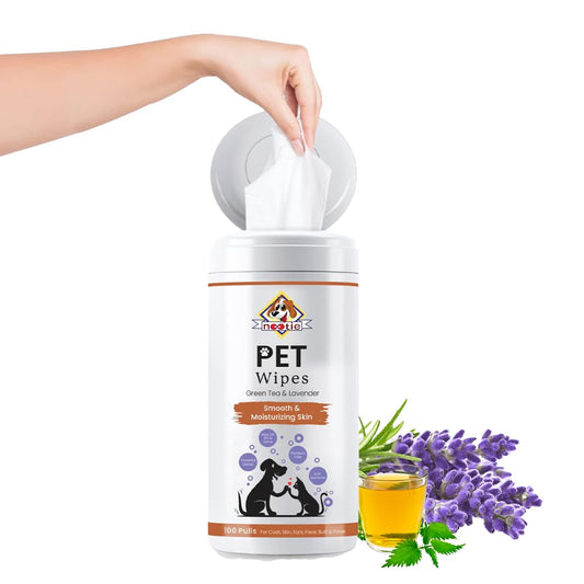 Nootie Premium Pet Wipes Box with Goodness of Green Tea & Lavender - 100 Pulls