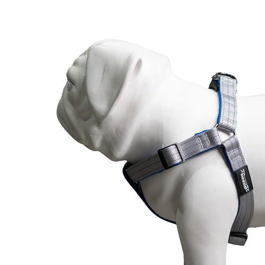 Nootie Premium Plush Padded Harness Grey Color with Blue Detailing Size 15 mm(S) - For Small Dogs and Puppies