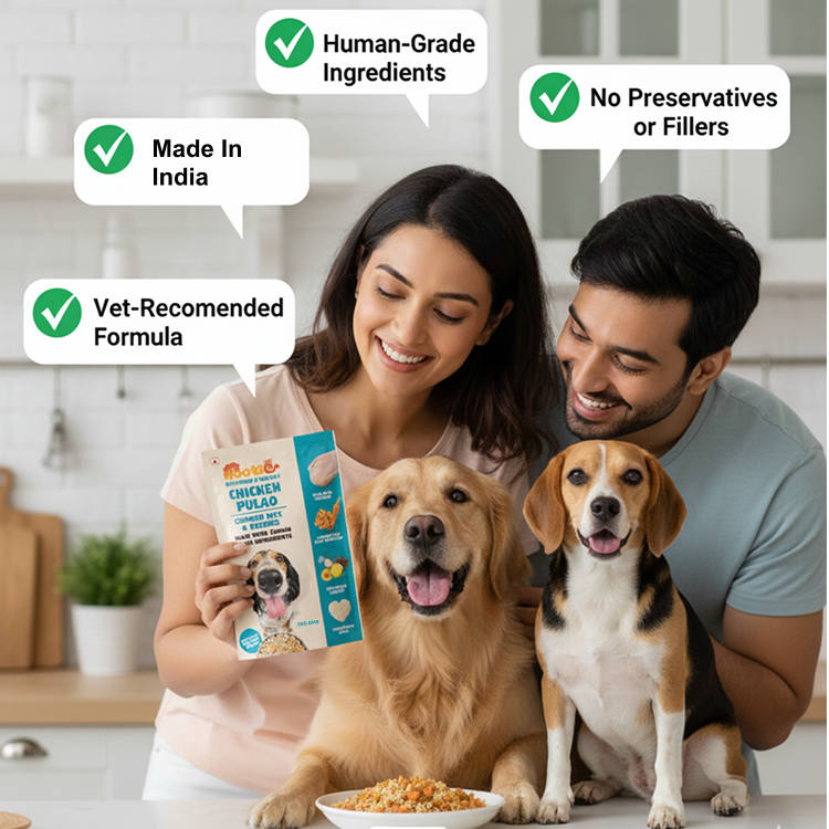 Nootie Chicken Pulao for Dogs – Human-Grade, Balanced Meal with Real Chicken, Rice & Veggies (300g)