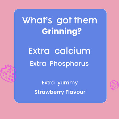 Nootie Nom Nom Calcium Milk Bone – Strawberry Flavour (220g) | Calcium-Rich, Fiber & Collagen Treat for Strong Bones & Teeth