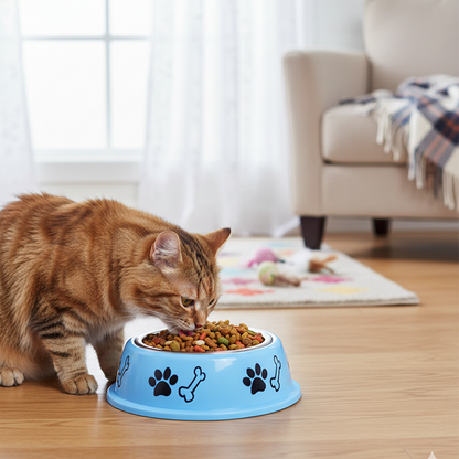 Nootie Paw & Bone Printed Medium Size Steel Food Bowl for Dogs & Cats - Blue Color