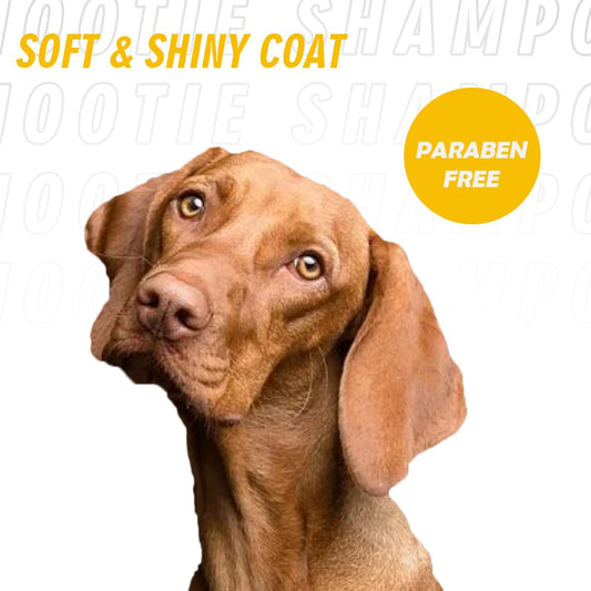 Nootie Pet Foaming Shampoo for Dogs & Cats with Goodness of Rosemary Oil and Kokum Butter