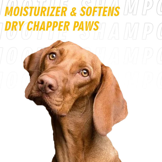 Nootie Pet Paw Butter with Goodness of Sheabutter and Essential Oils for Dogs & Cats - 100 Gm