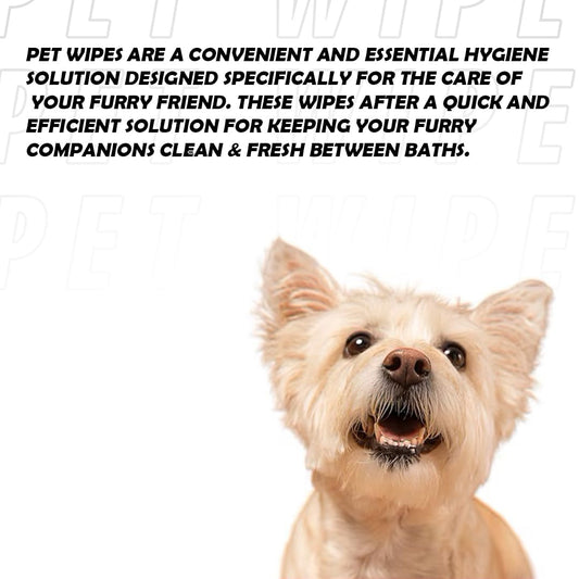 Nootie Premium Pet Wipes Box with Goodness of Green Tea & Lavender - 100 Pulls