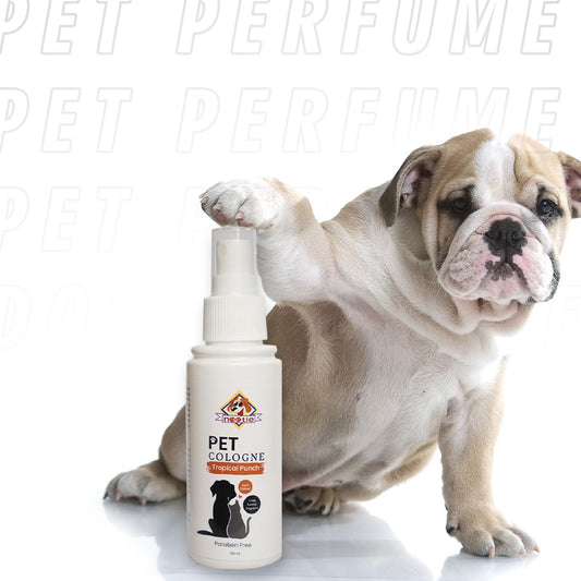 Nootie Pet Cologne Tropical Punch 100 ML - - Paraben Free for Cats & Dogs