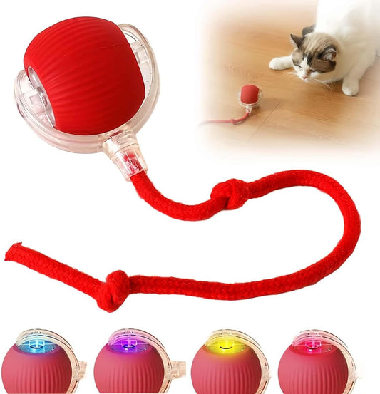 Nootie Interactive Electric Automatic Rolling Moving Rechargeable Self Play Stimulation Toy,Smart Pet Chase Ball with Speedy Tail Rope for Bored Indoor Cats Enrichment,stimulating Dogs Toy