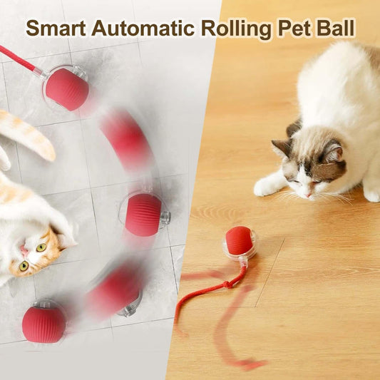 Nootie Interactive Electric Automatic Rolling Moving Rechargeable Self Play Stimulation Toy,Smart Pet Chase Ball with Speedy Tail Rope for Bored Indoor Cats Enrichment,stimulating Dogs Toy