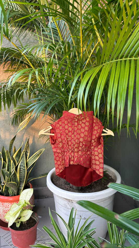 Nootie Festive Sherwani for Pets- Red