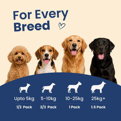 Nibblr Woof Broth - Hydrating Meal Topper for Dogs (100 ml) | Mutton Bone Broth