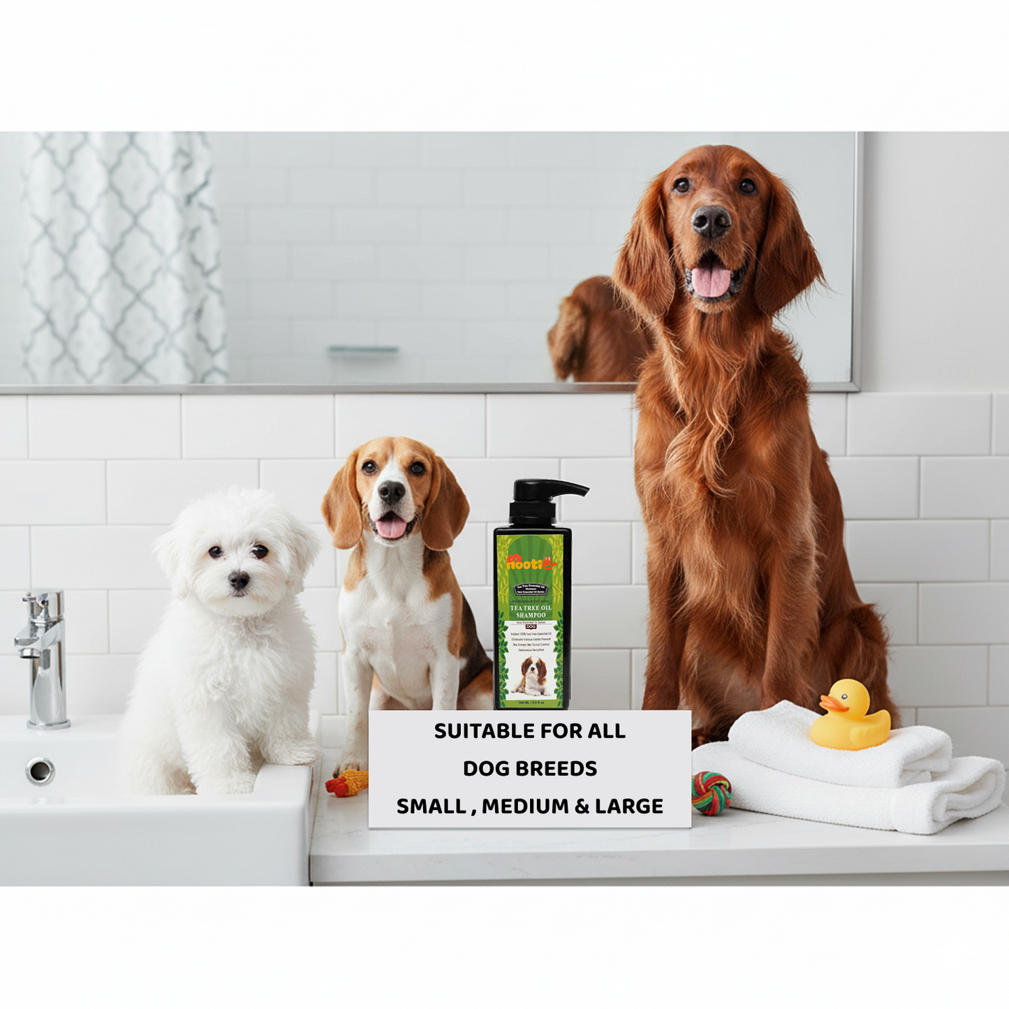 Nootie Tea Tree Oil Shampoo for Dogs (300 ml) | Deep Cleansing, Oil Control & Skin Purifying Formula