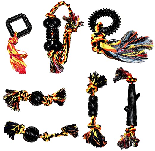 Nootie Durable Dog Chew Toys Pack of 7, Gift Set