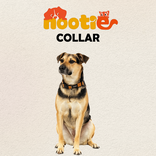 Nootie Plush Padded Collar Brown Color Detailing