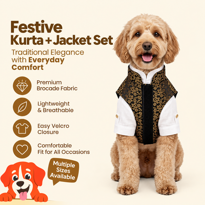 Nootie Dog Kurta Jacket Set - Black & Gold